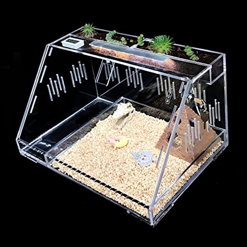 Transparentes Terrarium für Reptilien, Vivarium, Heim-Haustier-Futterbox, Tierhandlung, Eidechsen-Zuchtbox von MaGiLL