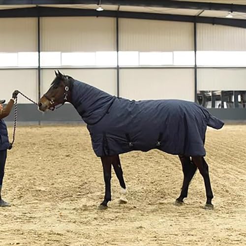 MaJu Abnehmbare Hohe Hals Paddock Decke Pferd Decken 300g Füllung Warm Und Wasserdicht,Blau(Size:115cm) von MaJu
