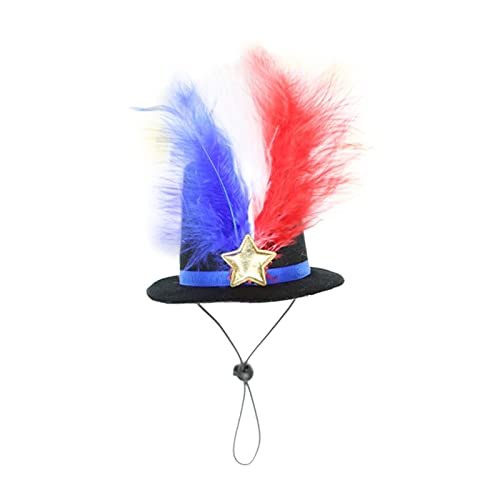 Hundemütze Independence Day Hat Party Dressing Supplies Top Hat Bow Hat Bunter Schmuck für Hunde Katzen 4. Juli Haarschmuck Wasserdicht Winter Warme Jacke (Black, One Size) von MaNMaNing