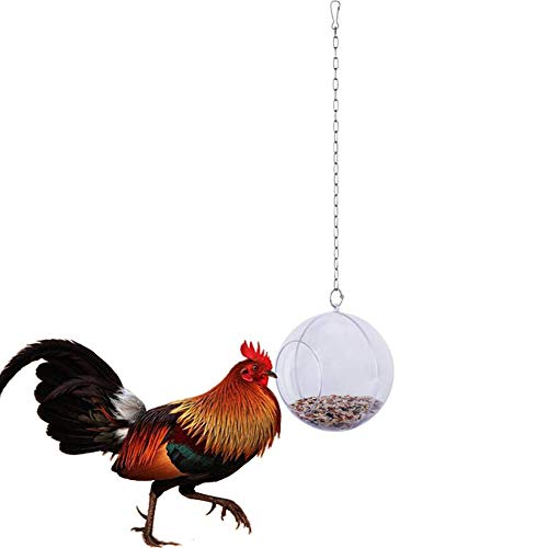Macabolo Huhn hängen Futter Spielzeug für Hühner Feeder Fütterung behandeln Ball mit Veggie und Samen Futter für Haustier Papagei Vogel von Macabolo