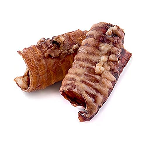 Maced Hundesnack Luftröhre 100g, getrocknete Trachea aus Rindfleisch Hundeleckerli 10er Pack (10 x 100 g) von Maced