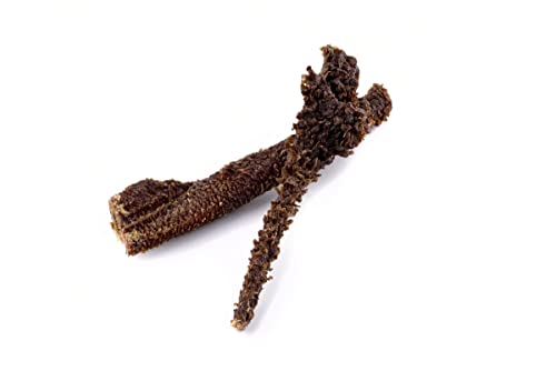 Maced Rinderrippen 100g für kleine mittlere und große Hunderassen Maced Rinderrippen 100g für kleine mittlere und große Hunderassen von Maced