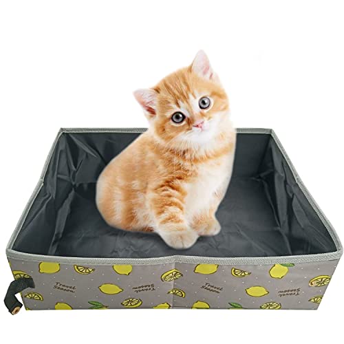 Reise Katzenklo Faltbar Katzentoilette Tragbare Katzenklo XL für Katzen, Wasserdicht, Langlebig, Leicht zu Reinigen für Reisen, Auto, Drinnen, Draußen, Camping im Freien, 47 * 36 * 13cm (Zitronen) von Macelitu