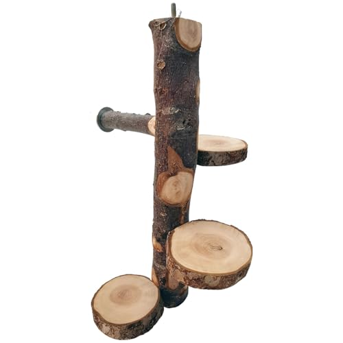 Springturm für kleine Haustiere mit Drehscheibe, 3 Holzebenen, vertikaler Aktivitätsständer für Chinchillas, Zuckergleiter, Eichhörnchen Springturm für kleine Haustiere mit Drehscheibe, 3 Holzebenen, vertikaler Aktivitätsständer für Chinchillas, Zuckergleiter, Eichhörnchen von Machify