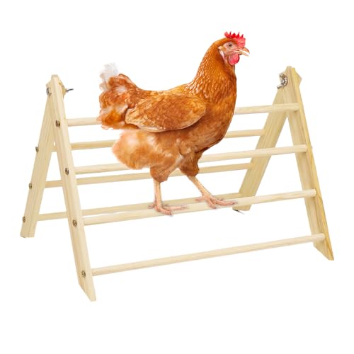 Hühnerstange für Stall | Bequemer Hühnerperc – Holz, platzsparend, tragbar, Ständer für Küken, Hühner, Outdoor, Lebensraum, Hinterhof, Geflügelpflege, Bruter, großer Vogel Hühnerstange für Stall | Bequemer Hühnerperc – Holz, platzsparend, tragbar, Ständer für Küken, Hühner, Outdoor, Lebensraum, Hinterhof, Geflügelpflege, Bruter, großer Vogel von Maciun