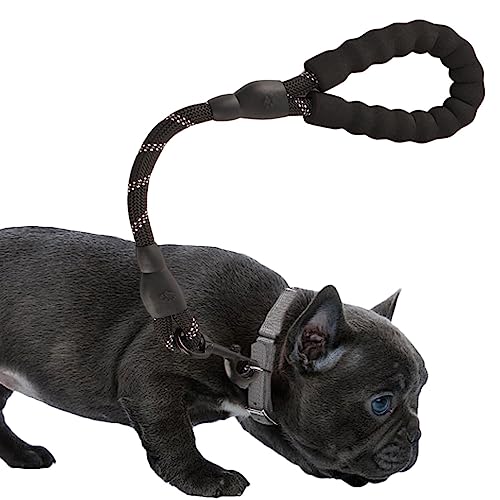 Hundeseil für Spaziergänge, robustes Hundeseil, Seil für Hunde, für große, mittlere und kleine Hunde | verstärktes Seil für Haustiere, Bleiseil für Welpen. Maciun Hundeseil für Spaziergänge, robustes Hundeseil, Seil für Hunde, für große, mittlere und kleine Hunde | verstärktes Seil für Haustiere, Bleiseil für Welpen. Maciun von Maciun