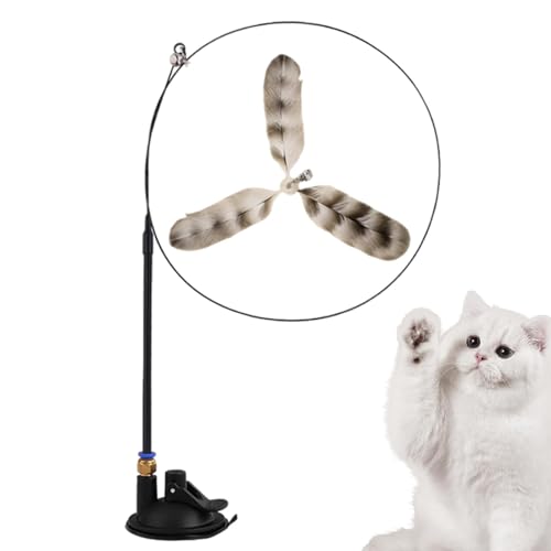 Maciun Katzenspielzeug, Federspielzeug, interaktiver Federball, Saugnapf-Spielzeug mit Glocke, selbsthaltender Saugfuß, stimulierendes Übungsspiel für Katzen und Kätzchen Maciun Katzenspielzeug, Federspielzeug, interaktiver Federball, Saugnapf-Spielzeug mit Glocke, selbsthaltender Saugfuß, stimulierendes Übungsspiel für Katzen und Kätzchen von Maciun