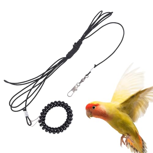 Maciun Vogelgeschirr für Nymphensittiche, Outdoor-Fliegenseil für Papageien, leicht, weich, tragbares Fliegen-Trainingsseil für große Vögel, Eulen, Aras Maciun Vogelgeschirr für Nymphensittiche, Outdoor-Fliegenseil für Papageien, leicht, weich, tragbares Fliegen-Trainingsseil für große Vögel, Eulen, Aras von Maciun