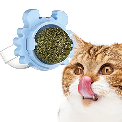 Maciun Wandball mit Katzen, essbare Kugeln für Katzen, in Krabbenform, Spielzeug, Wandrolle für Katzenminze, zum Lecken von Katzen, Wanddekoration, Katzenspielzeug für den Innenbereich, drehbar Maciun Wandball mit Katzen, essbare Kugeln für Katzen, in Krabbenform, Spielzeug, Wandrolle für Katzenminze, zum Lecken von Katzen, Wanddekoration, Katzenspielzeug für den Innenbereich, drehbar von Maciun