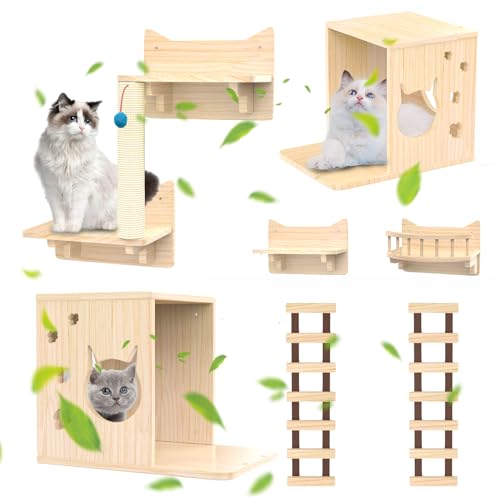 Katzen-Wandregale, Kiefernholz Katzenkletterwand mit 2 Katzenwohnungen, Treppen, Katzenkletterregale mit 7 Arten von Möbeln, Katzen-Dschungel-Fitnessstudio für Indoor-Katzen, Katzenregale für Wand von Madebut