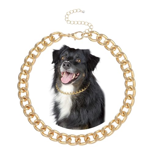 Madison Tyler Goldkette für Hunde, kubanische Gliederkette, langlebig, niedliches modisches Haustierhalsband, Leichtmetall-Schmuck, mutige Kette, Welpenzubehör, Haustier-Halskette, Geschenk, 48,3 cm von Madison Tyler