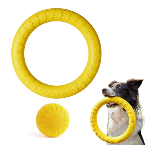 Hunde-Flugring + Kugelförmiges Spielzeug, Schwimmendes Flugscheiben-Hundespielzeug, Outdoor-Fitness-Flugscheiben, Langlebiges Kauspielzeug - Zum Training Im Freien Für Kleine Und Mittelgroße Hunde (S) Hunde-Flugring + Kugelförmiges Spielzeug, Schwimmendes Flugscheiben-Hundespielzeug, Outdoor-Fitness-Flugscheiben, Langlebiges Kauspielzeug - Zum Training Im Freien Für Kleine Und Mittelgroße Hunde (S) von Mafagwre