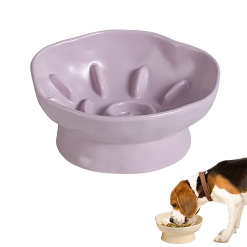 Mafagwre 2er Keramik Slow Feeder Napf Für Hunde Und Katzen, Erhöhter Rand/Auslaufsicher/Slow Eating Katzennapf Für Nassfutter Und Trockenfutter, Katzennapf Slow Feeder Anti-Erbrechen (Lila) von Mafagwre