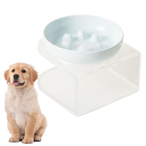 Mafagwre Antischlingnapf Hunde Keramik, Slow Feeder Napf Aus Keramik Für Katzen Mit Acrylständer, Katzennapf Für Nassfutter/Trockenfutter, Auslaufsicherer Slow Eating Katzennapf (Blau) von Mafagwre