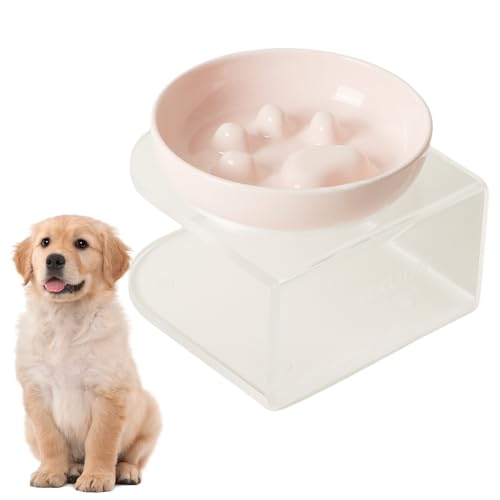 Mafagwre Antischlingnapf Hunde Keramik, Slow Feeder Napf Aus Keramik Für Katzen Mit Acrylständer, Katzennapf Für Nassfutter/Trockenfutter, Auslaufsicherer Slow Eating Katzennapf (Rosa) von Mafagwre