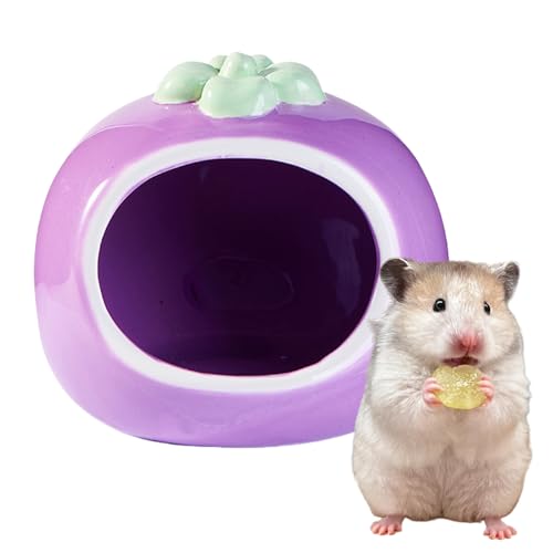 Mafagwre Keramik-Hamsterhaus, Hamsterversteck Keramik, Hamster Bett, Niedliche Obstform Hamster Häuser, Hamsterhöhle, Leicht Zu Reinigen, Ideal Für Den Sommer Per Chinchilla, Ratte, Mäuse (Purple) Mafagwre Keramik-Hamsterhaus, Hamsterversteck Keramik, Hamster Bett, Niedliche Obstform Hamster Häuser, Hamsterhöhle, Leicht Zu Reinigen, Ideal Für Den Sommer Per Chinchilla, Ratte, Mäuse (Purple) von Mafagwre