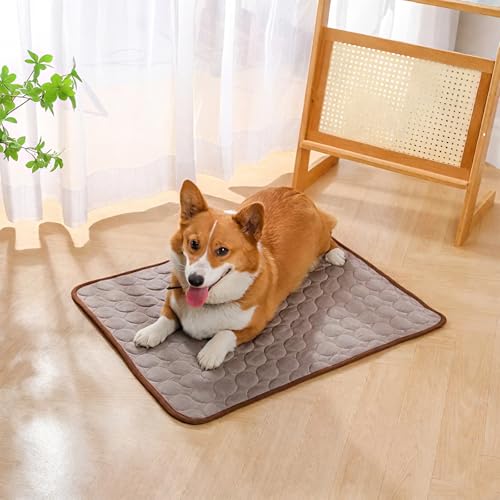 Maghrozi Nordseepfote Kühlmatte, Pfotenfrost Matte, Atmungsaktiven 3D-Mesh-Gewebe,Wasserdicht, Schütze Deinen Hund Vor Einem Hitzschlag, Ideal Für Zu Hause (braun, 40 * 30cm) von Maghrozi