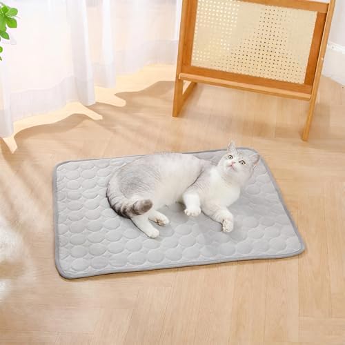 Maghrozi Nordseepfote Kühlmatte, Pfotenfrost Matte, Atmungsaktiven 3D-Mesh-Gewebe,Wasserdicht, Schütze Deinen Hund Vor Einem Hitzschlag, Ideal Für Zu Hause (grau, 50 * 40cm) von Maghrozi