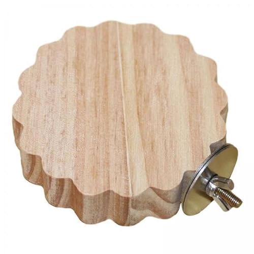 MagiDeal 2X Vogelsitzplattform, Papageienständer, Spielplatz, Vogelspielzeug, Vogelplattform, Käfigzubehör für Finken, Nymphensittiche, Sittiche, Sittiche MagiDeal 2X Vogelsitzplattform, Papageienständer, Spielplatz, Vogelspielzeug, Vogelplattform, Käfigzubehör für Finken, Nymphensittiche, Sittiche, Sittiche von MagiDeal