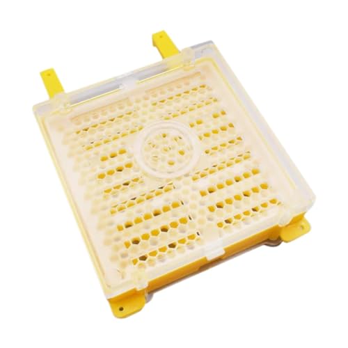 MagiDeal Bienenzucht Biene transplantieren Kit Zubehör Biene Keeper Toolset Kultivierungsbox Bienenzucht Werkzeuge gelbe Biene Laying Zuchtset MagiDeal Bienenzucht Biene transplantieren Kit Zubehör Biene Keeper Toolset Kultivierungsbox Bienenzucht Werkzeuge gelbe Biene Laying Zuchtset von MagiDeal