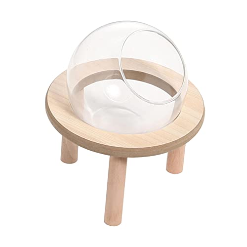 MagiDeal Hamster-Sandbad-Container, Hamster-Sandbad-Box, Toilette, Dusche, großes Haustier, Spielzeug, kleines Tier, Badezimmer für Eichhörnchen, 12cm MagiDeal Hamster-Sandbad-Container, Hamster-Sandbad-Box, Toilette, Dusche, großes Haustier, Spielzeug, kleines Tier, Badezimmer für Eichhörnchen, 12cm von MagiDeal