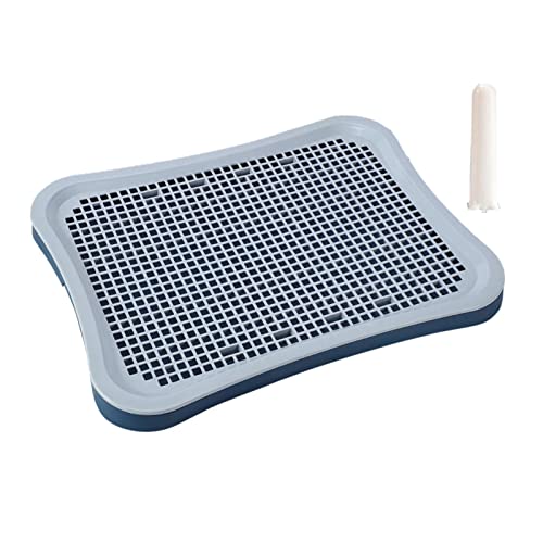 MagiDeal Haustier-Toilette, Hundetöpfchen-Tablett, rutschfest, langlebig, waschbar, Urinal, abnehmbare Netzgitter, Töpfchentrainer, Pinkel-Pad für den, Cyan MagiDeal Haustier-Toilette, Hundetöpfchen-Tablett, rutschfest, langlebig, waschbar, Urinal, abnehmbare Netzgitter, Töpfchentrainer, Pinkel-Pad für den, Cyan von MagiDeal