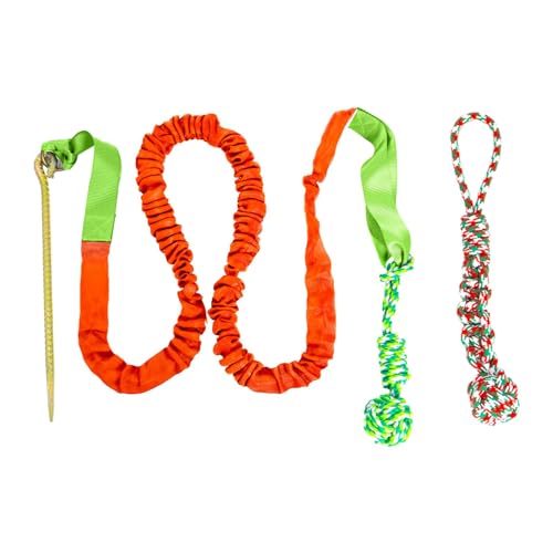 MagiDeal Hunde-Bungee-Spielzeug, Tauziehen, Seilspielzeug für drinnen und draußen, Baum-Hängespielzeug, Hund, Outdoor-Bungee-Hängespielzeug für Aggressive, Orange MagiDeal Hunde-Bungee-Spielzeug, Tauziehen, Seilspielzeug für drinnen und draußen, Baum-Hängespielzeug, Hund, Outdoor-Bungee-Hängespielzeug für Aggressive, Orange von MagiDeal