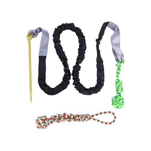 MagiDeal Hunde-Bungee-Spielzeug, Tauziehen, Seilspielzeug für drinnen und draußen, Baum-Hängespielzeug, Hund, Outdoor-Bungee-Hängespielzeug für Aggressive, Schwarz MagiDeal Hunde-Bungee-Spielzeug, Tauziehen, Seilspielzeug für drinnen und draußen, Baum-Hängespielzeug, Hund, Outdoor-Bungee-Hängespielzeug für Aggressive, Schwarz von MagiDeal