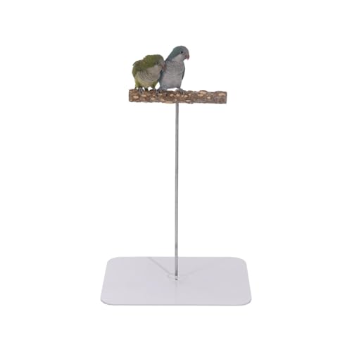 MagiDeal Papageien-Sitzstange, Spielständer, Vogel-Spiel-Fitnessstudio, Laufstall aus Holz, Vogelkäfig-Zubehör, Spielzeug, Vogelspielplatz, Vogel-Spielständer, Quadrat, L MagiDeal Papageien-Sitzstange, Spielständer, Vogel-Spiel-Fitnessstudio, Laufstall aus Holz, Vogelkäfig-Zubehör, Spielzeug, Vogelspielplatz, Vogel-Spielständer, Quadrat, L von MagiDeal
