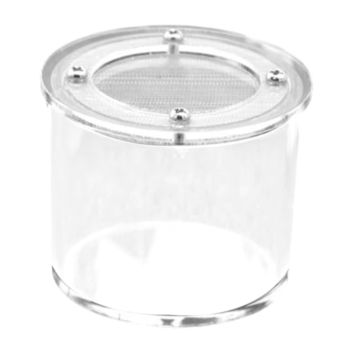 MagiDeal Spinnenbox, Reptilien-Zuchtbox, Acryl, tragbar, Reptilien-Terrarium, Gehege für Gottesanbeterinnen, Zuchtgehäuse für Skorpione, Zuhause, Runden MagiDeal Spinnenbox, Reptilien-Zuchtbox, Acryl, tragbar, Reptilien-Terrarium, Gehege für Gottesanbeterinnen, Zuchtgehäuse für Skorpione, Zuhause, Runden von MagiDeal