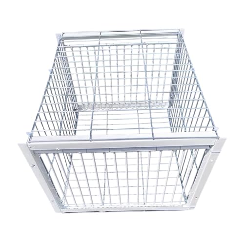 MagiDeal Tauben-Vogelkäfig, automatischer Taubensammler, einseitiger Zugang, Tiertaubenstall für Tauben, Kardinäle, Sperlinge, 2-Wege-Eingang von MagiDeal