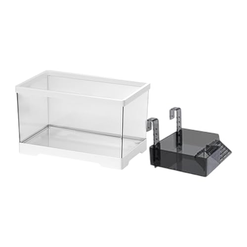MagiDeal Turtle Tank Aquarium Tortoise Gehege Starter -Kit Fütterungsbox Amphibien Reptilienlebensraum mit Ackplattform zum Klettern, Weiß, L with Platform MagiDeal Turtle Tank Aquarium Tortoise Gehege Starter -Kit Fütterungsbox Amphibien Reptilienlebensraum mit Ackplattform zum Klettern, Weiß, L with Platform von MagiDeal