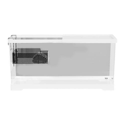 MagiDeal Turtle Tank Aquarium Tortoise Gehege Starter -Kit Fütterungsbox Amphibien Reptilienlebensraum mit Ackplattform zum Klettern, Weiß, M W Platform and Lid MagiDeal Turtle Tank Aquarium Tortoise Gehege Starter -Kit Fütterungsbox Amphibien Reptilienlebensraum mit Ackplattform zum Klettern, Weiß, M W Platform and Lid von MagiDeal