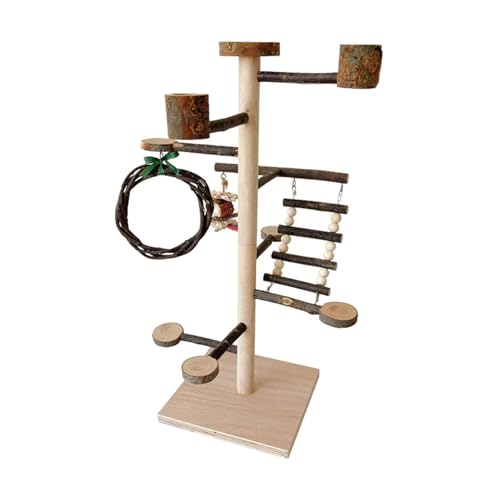 MagiDeal Vogel Sitzstange Rack Kakadus Desktop Halter Trinken Solide Praktische mit Schüssel Multifunktions Papagei Desktop Stehen Papagei Stehen MagiDeal Vogel Sitzstange Rack Kakadus Desktop Halter Trinken Solide Praktische mit Schüssel Multifunktions Papagei Desktop Stehen Papagei Stehen von MagiDeal
