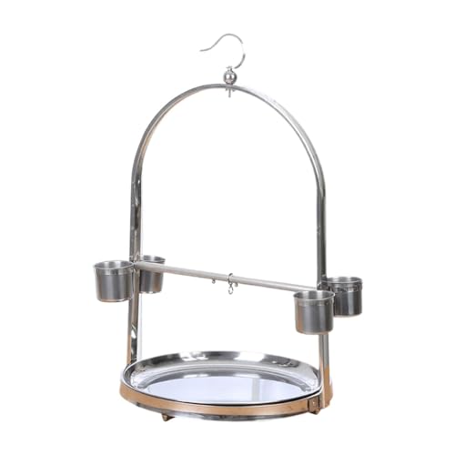 MagiDeal Vogelsitzstange, Spielständer, Tischvogelständer, Aktivitätsspielzeug, Papageien-Spielständer, Papageien-Spielständer für Finken, Nymphensittiche, 36 X 60 cm MagiDeal Vogelsitzstange, Spielständer, Tischvogelständer, Aktivitätsspielzeug, Papageien-Spielständer, Papageien-Spielständer für Finken, Nymphensittiche, 36 X 60 cm von MagiDeal