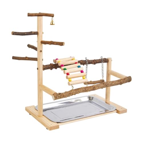 MagiDeal Vogelspielplatz Vogelkäfig Spielständer Haustier Vogel Sitzstange Ständer Papagei Spielen Gym Sittich Käfig Dekor Wellensittich Sitzstange Ständer MagiDeal Vogelspielplatz Vogelkäfig Spielständer Haustier Vogel Sitzstange Ständer Papagei Spielen Gym Sittich Käfig Dekor Wellensittich Sitzstange Ständer von MagiDeal