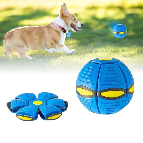 Frisbee Ball Hundespielzeug, Fliegend Untertasse Ball Hund, Haustier Spielzeug Fliegende Untertasse Ball, Pet Toy Frisbee Ball Hund, Fliegend Untertasse Ball Spielzeug, Fliegender Ball für Hunde Frisbee Ball Hundespielzeug, Fliegend Untertasse Ball Hund, Haustier Spielzeug Fliegende Untertasse Ball, Pet Toy Frisbee Ball Hund, Fliegend Untertasse Ball Spielzeug, Fliegender Ball für Hunde von MagiSel