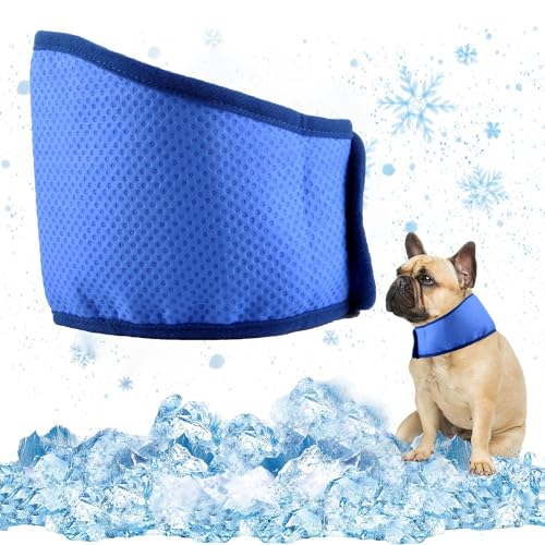 Kühlhalsband für Hunde, Kühlendes Hundehalsband, Kühlung für Hunde, Hunde Halstücher Kühlend, Atmungsaktiv Wärmeableitung Halstuch Hund, Kühlendes Halstuch für Hunde Sommer, 39 X 11.5cm (M) Kühlhalsband für Hunde, Kühlendes Hundehalsband, Kühlung für Hunde, Hunde Halstücher Kühlend, Atmungsaktiv Wärmeableitung Halstuch Hund, Kühlendes Halstuch für Hunde Sommer, 39 X 11.5cm (M) von MagiSel