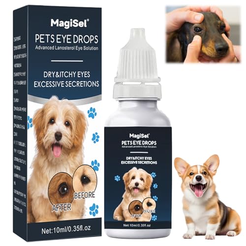 Haustier Augentropfen, Augenreiniger für Hunde, Antibakterielle Augentropfen Für Haustiere, Augentropfen Für Hunde Und Katzen, Lindert Juckreiz Und Irritationen, Vorbeugung von Tränenflecken 10ml Haustier Augentropfen, Augenreiniger für Hunde, Antibakterielle Augentropfen Für Haustiere, Augentropfen Für Hunde Und Katzen, Lindert Juckreiz Und Irritationen, Vorbeugung von Tränenflecken 10ml von MagiSel
