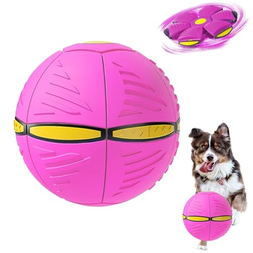 Haustier Spielzeug Frisbee Ball,Fliegender Ball für Hunde,Hund Spielzeug Ball,Fliegende Untertasse Ball,Flying Saucer Ball für Hunde,Interaktives Hund Spielzeug Frisbee für Hundetraining,Werfen (Rosa) Haustier Spielzeug Frisbee Ball,Fliegender Ball für Hunde,Hund Spielzeug Ball,Fliegende Untertasse Ball,Flying Saucer Ball für Hunde,Interaktives Hund Spielzeug Frisbee für Hundetraining,Werfen (Rosa) von MagiSel