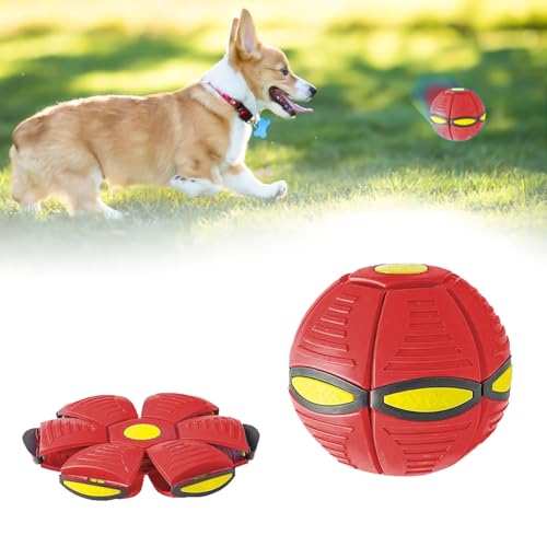 Interaktiver Ball für Hunde, Spielzeug für Hunde, Haustier Magische Fliegende Scheibe Ball, Frisbee Ball für Haustiere, Interaktives Spielzeug für Haustiere, magische Fliegende Scheibe Ball, rot Interaktiver Ball für Hunde, Spielzeug für Hunde, Haustier Magische Fliegende Scheibe Ball, Frisbee Ball für Haustiere, Interaktives Spielzeug für Haustiere, magische Fliegende Scheibe Ball, rot von MagiSel