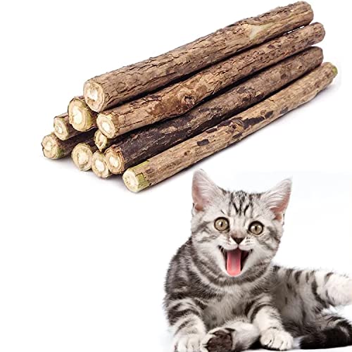 Katzenminze Sticks für Katzen, 10 Stück Matatabi Katzen Sticks, Matatabi-Kausticks als Katzenspielzeug, kauholz Katze Catnip Sticks, Katzenminze Sticks zum Schleifen von Zähnen,Katzen Zahnpflege Natur von MagiSel