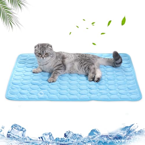 Kühlmatte für Hunde, Haustier Kühlmatte, 50×40cm Pet Cooling Mat, Sommerkühlkissen für Hunde, Eiskissen für Haustiere, Atmungsaktive Eisseide, Waschbar, für Kleine Katzen und Hund im Heißen Sommer Kühlmatte für Hunde, Haustier Kühlmatte, 50×40cm Pet Cooling Mat, Sommerkühlkissen für Hunde, Eiskissen für Haustiere, Atmungsaktive Eisseide, Waschbar, für Kleine Katzen und Hund im Heißen Sommer von MagiSel