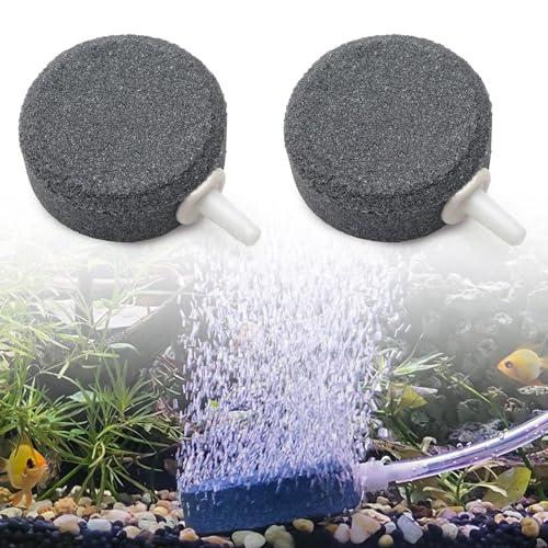 Aquarium Luftstein, Luftstein für Aquarium, 4 cm Ausströmersteine für Aquarien, Aquarium Sauerstoff Stein, Sauerstoffsteinscheibe, Blasendiffusor,für Luftpumpen,Aquarien,Eimer,kleine Teiche, 2 Stück Aquarium Luftstein, Luftstein für Aquarium, 4 cm Ausströmersteine für Aquarien, Aquarium Sauerstoff Stein, Sauerstoffsteinscheibe, Blasendiffusor,für Luftpumpen,Aquarien,Eimer,kleine Teiche, 2 Stück von MagiSel