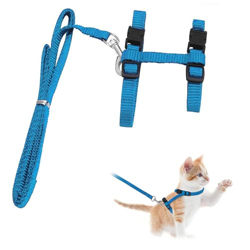 Katzengeschirr Ausbruchsicher, Katzenleine, Verstellbares Katzengeschirr 20-35 cm, Katzengeschirr zum Spazierengehen, Nylon Katzen Leine,Komfortables, Für Kleine Katzen, Kaninchen Und Hunde (Blau) von MagiSel