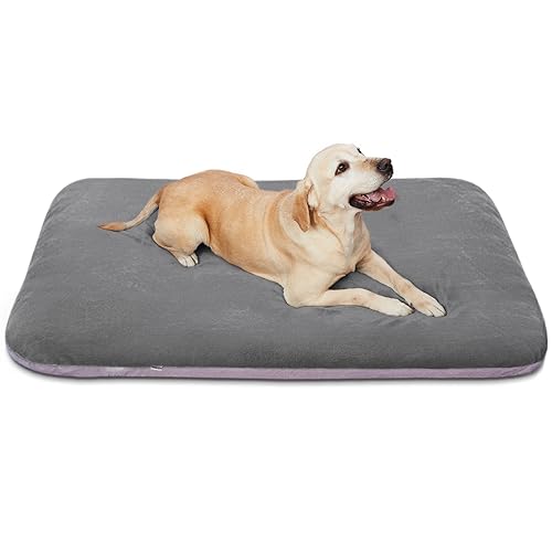 Magic Dog Superweiches großes Hundebett, orthopädisches Schaumstoff-Haustierbett mit rutschfester Unterseite, Hunde-Schlafmatratze mit abnehmbarem und waschbarem Bezug, 99 cm, Grau Magic Dog Superweiches großes Hundebett, orthopädisches Schaumstoff-Haustierbett mit rutschfester Unterseite, Hunde-Schlafmatratze mit abnehmbarem und waschbarem Bezug, 99 cm, Grau von Magic Dog