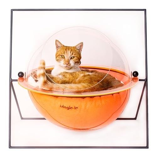 Katzenhaus – mit Fuß und rechteckigem Rahmen aus lackiertem Stahl und Kissen – Magic-In – transparent und orange von Magic-In