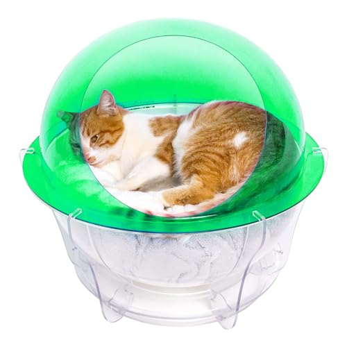 Katzenhaus – mit Kissen und Spielzeug – Magic-In – Grün und Transparent von Magic-In