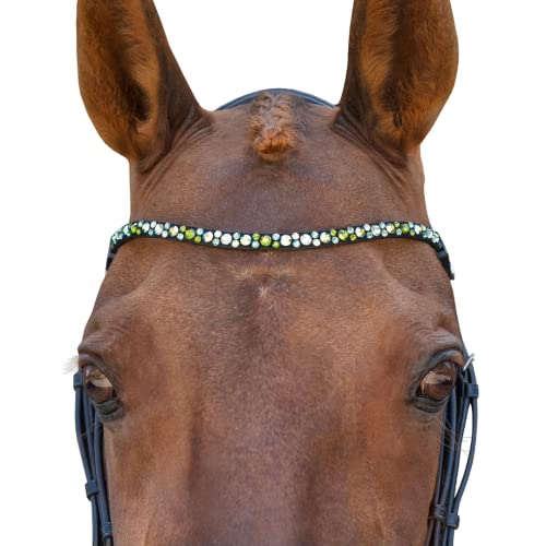 MagicTack Stirnriemen für Pferde geschwungen Größe Warmblut Grün Glitzer magnetisch zum Austauschen (43cm) von MagicTack
