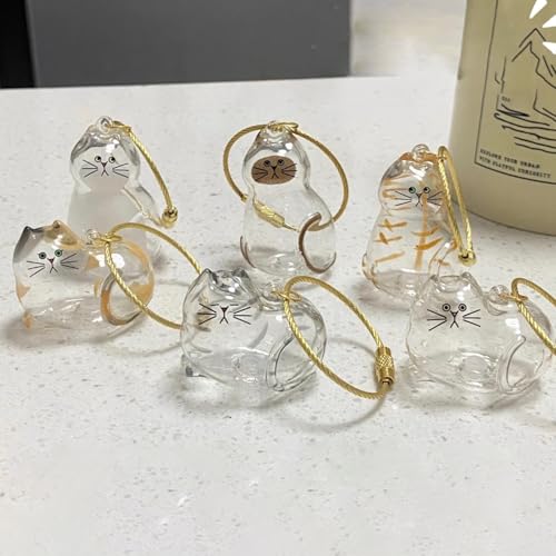 Magicaldiy 6 Stück Katzenhaar-Gedenkflasche, Katzenhaar-Aufbewahrungsflasche, Haustierfellhalter, Schlüsselanhänger, Katzenform, Handtaschen, Rucksäcke, Geldbörse, Tasche, Anhänger, Charm-Zubehör von Magicaldiy
